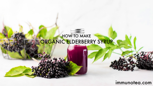 How To Make Organic Elderberry Syrup Immunotea